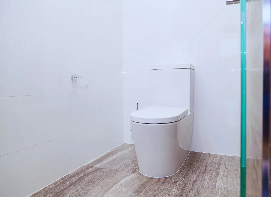 Remplacement de wc Cruseilles