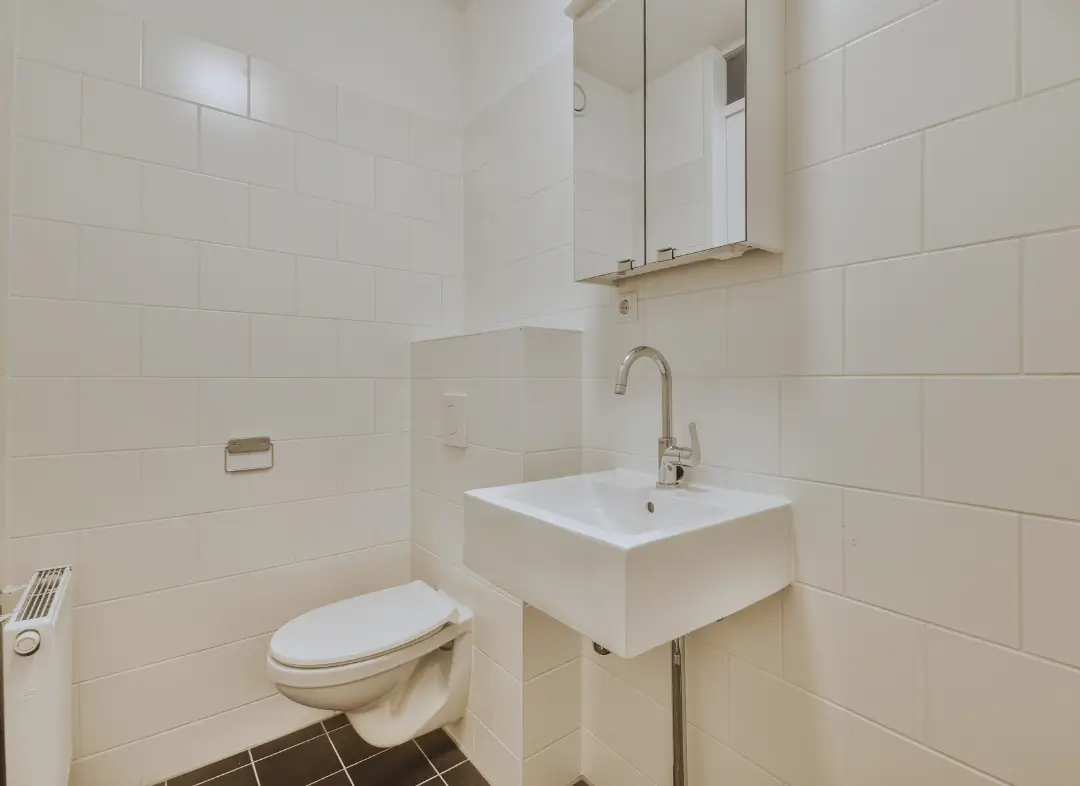 Pose WC Suspendu Cruseilles